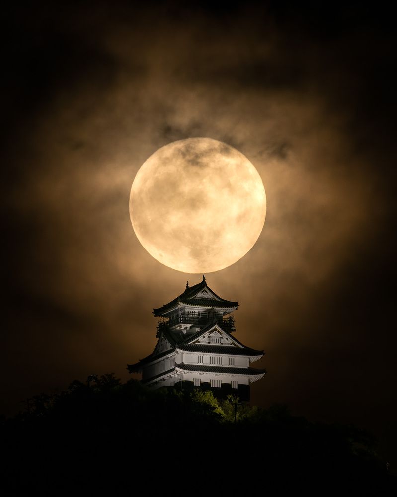 Photograph by Hiroki Matsubara