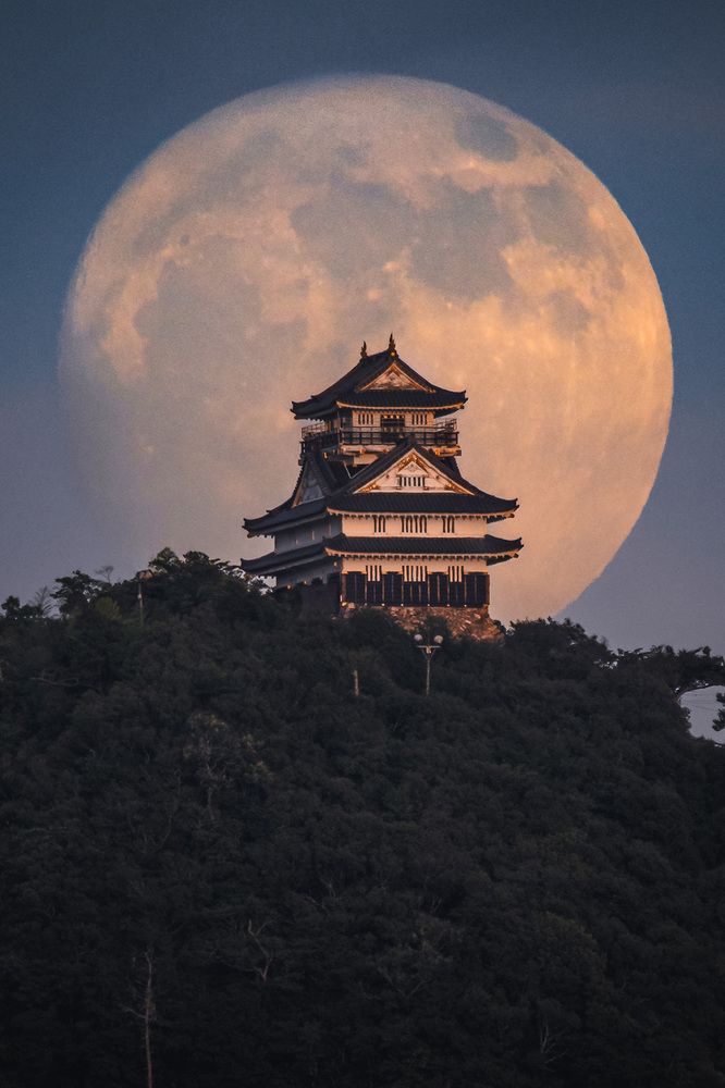 Photograph by Hiroki Matsubara