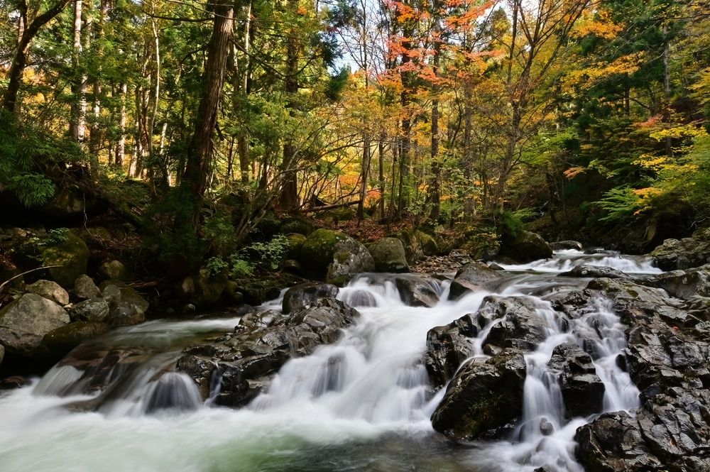 Photograph by Ohta Sigeki