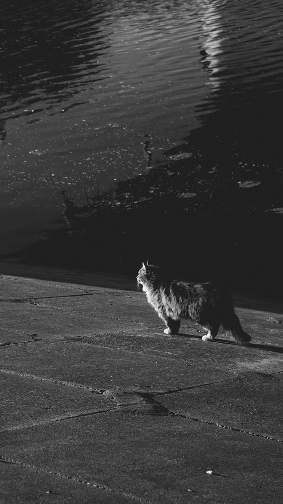 Photograph by Сергей Коляда