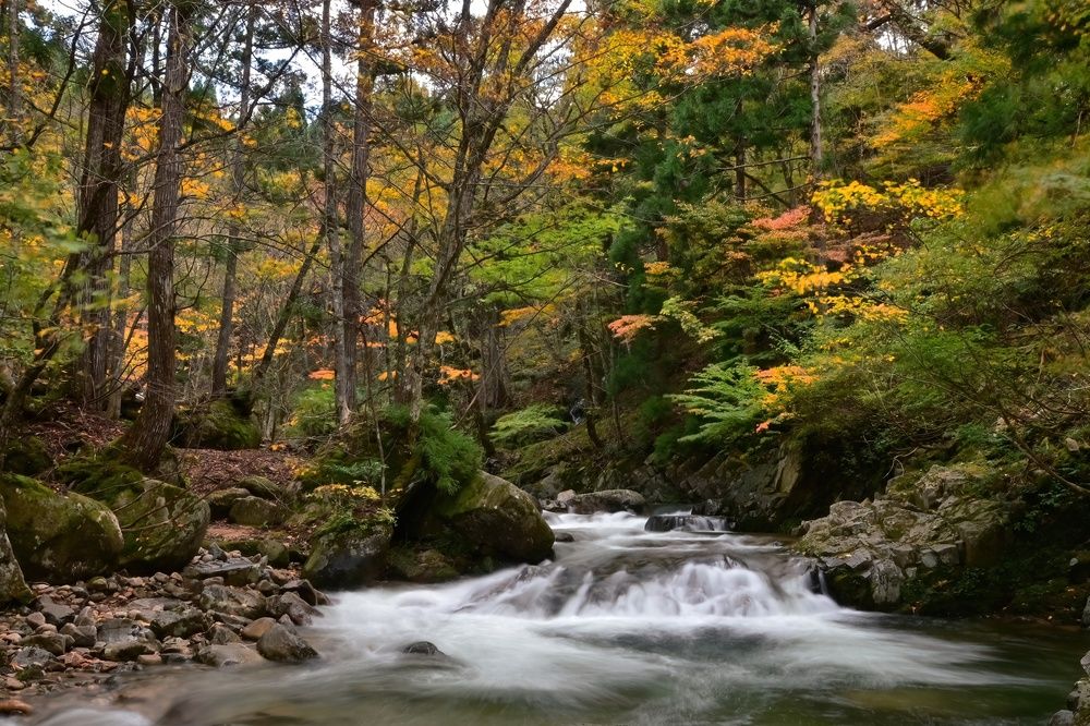 Photograph by Ohta Sigeki