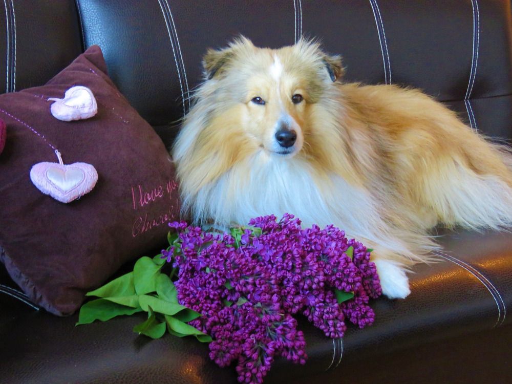 Photograph by Валерия Яскович