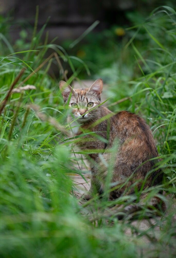 Photograph by Ксения Шилина