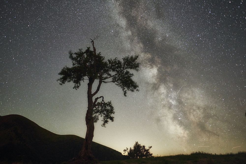 Photograph by Milan Samochin