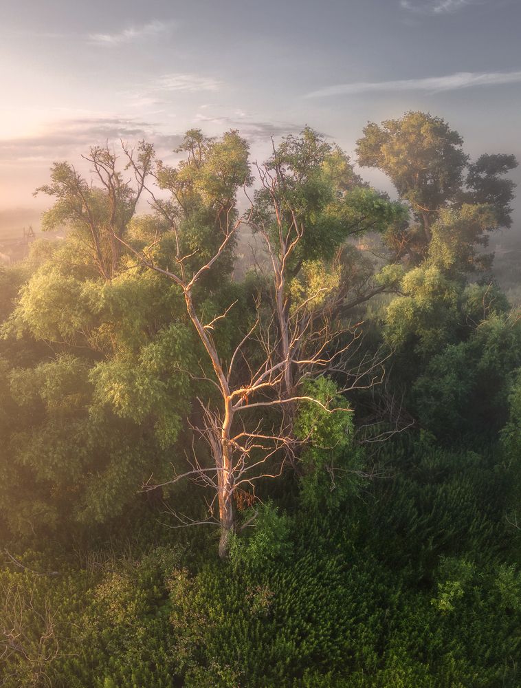 Photograph by Наталия Полякова