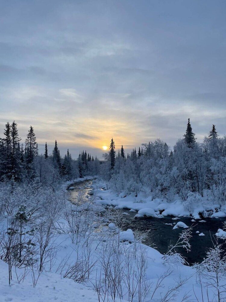 Photograph by Галина Павлыго