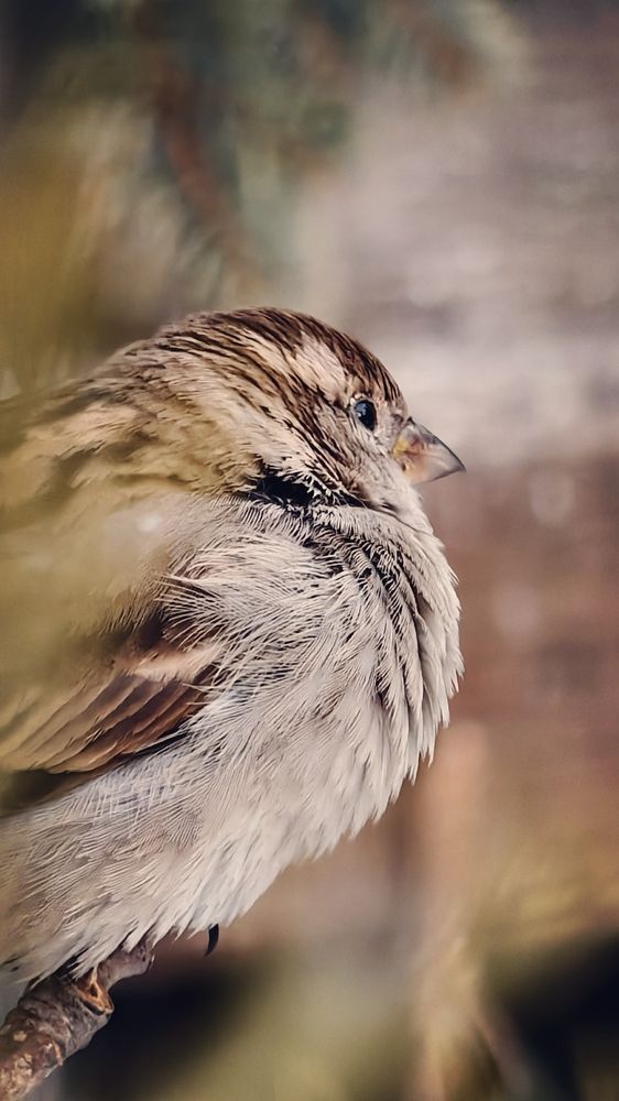 Photograph by Елена Кадаева