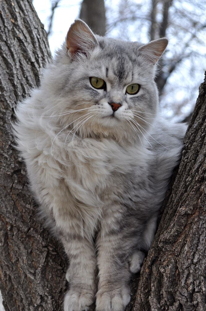 Photograph by Людмила Низова