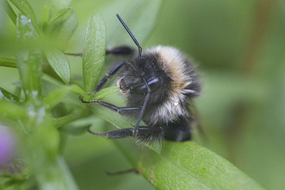Photograph by Наталия Колтакова