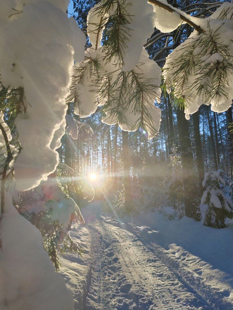 Photograph by Галина Павлыго