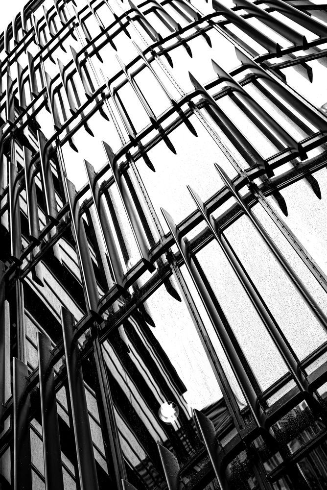 Photograph by Alla Nikitenko