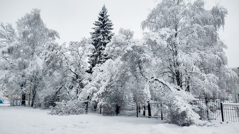 Photograph by Людмила Сергеева