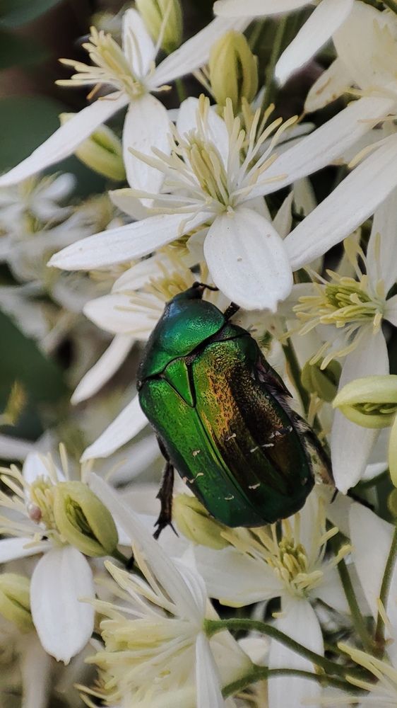 Photograph by Ангелина