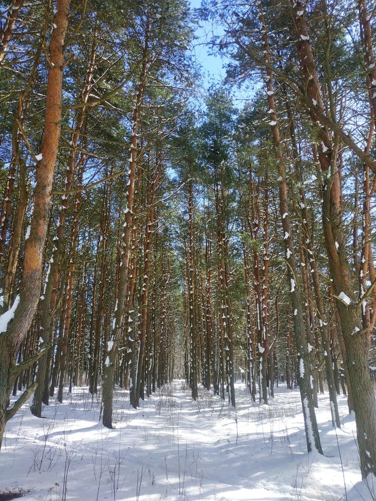 Photograph by Галина Павлыго