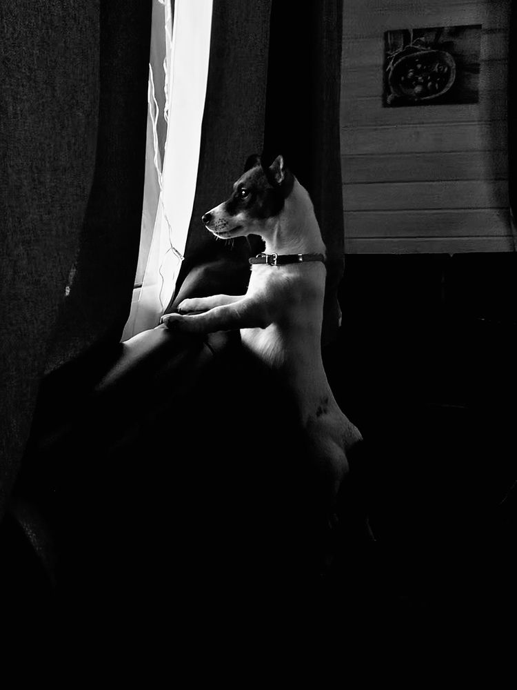 Photograph by NELLY KOROLEVSKAYA
