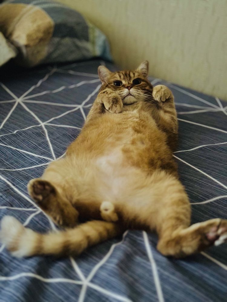 Просто. Так. Удобнее.