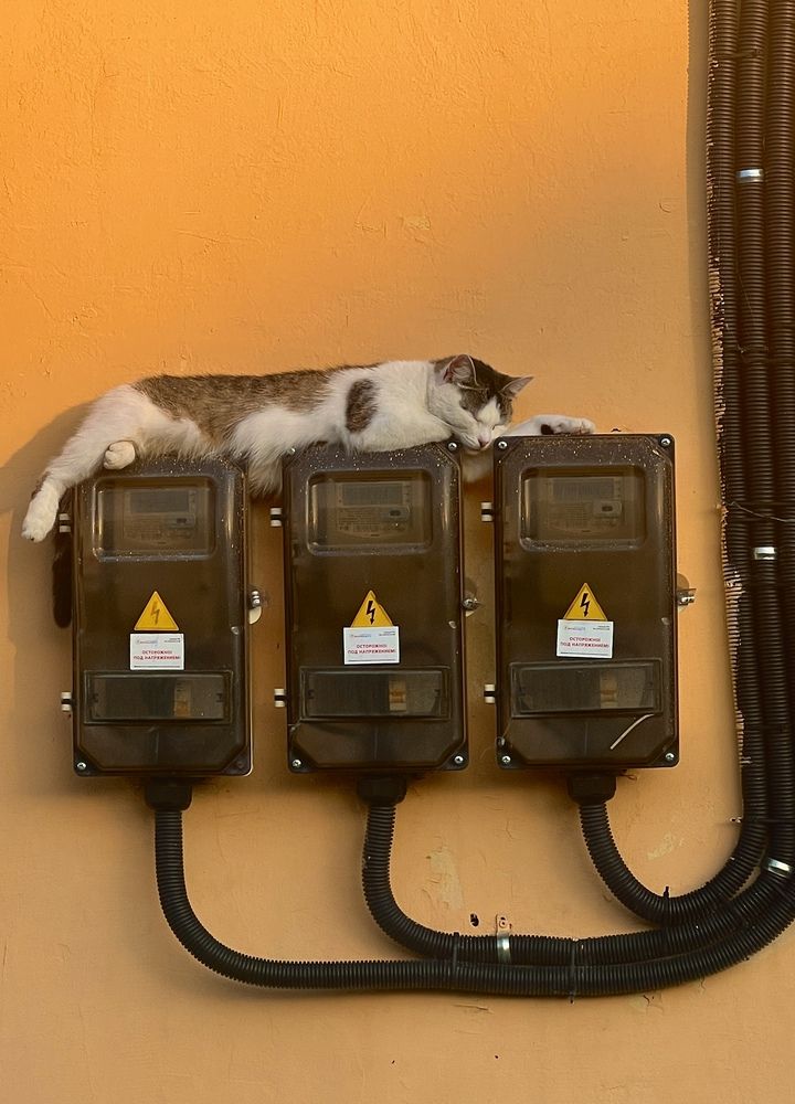 Photograph by Олеся Королева