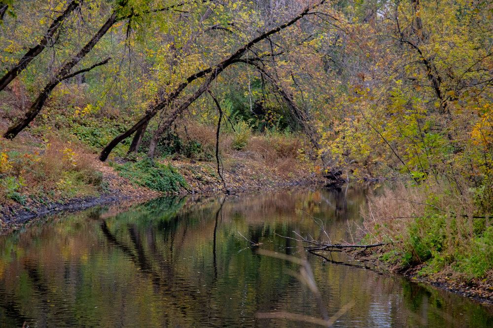 Photograph by Анна Петренко