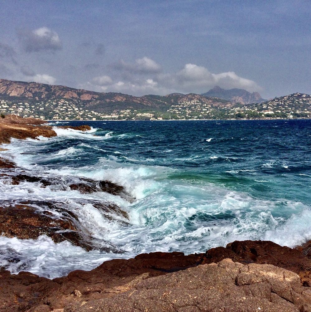 Photo #11955457