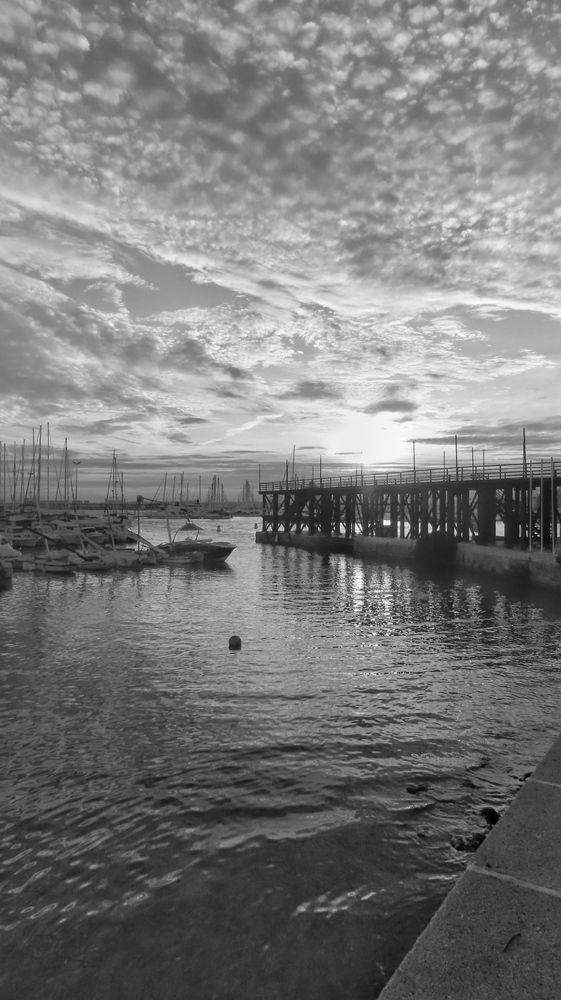 Photograph by Sophia