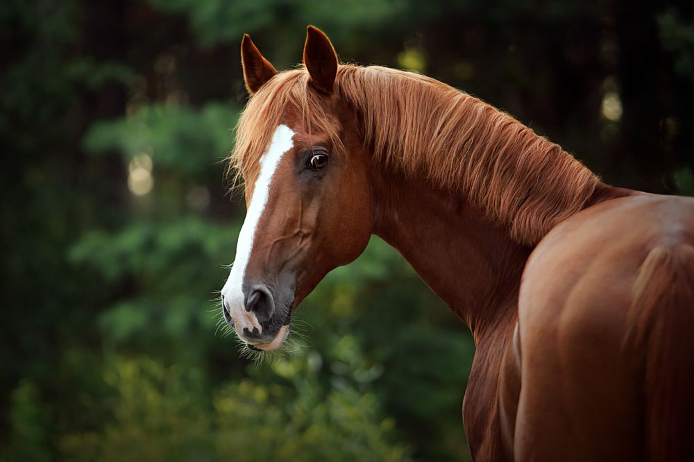 Photograph by Дарья Ералева