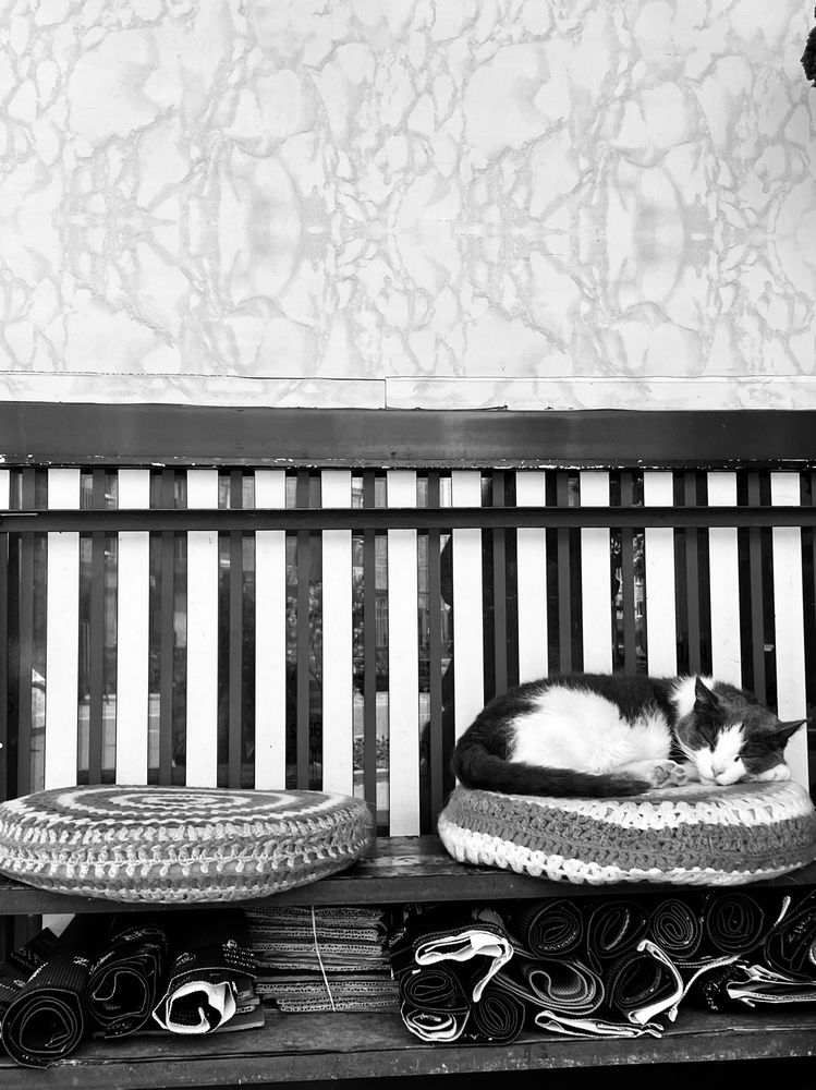 Photograph by Олеся Королева