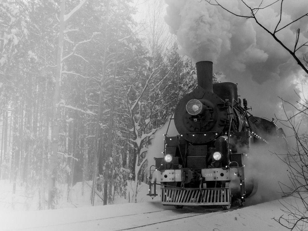 Photograph by Олег Бережных