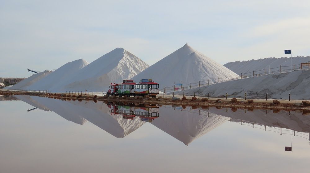 Photograph by Sophia