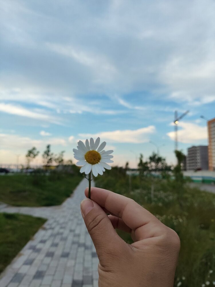 Photograph by Сарнаева