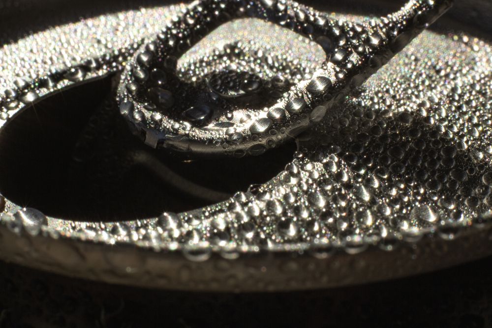 Фотография автора János Rábli