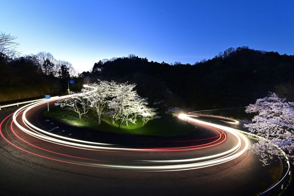 Photograph by Ohta Sigeki