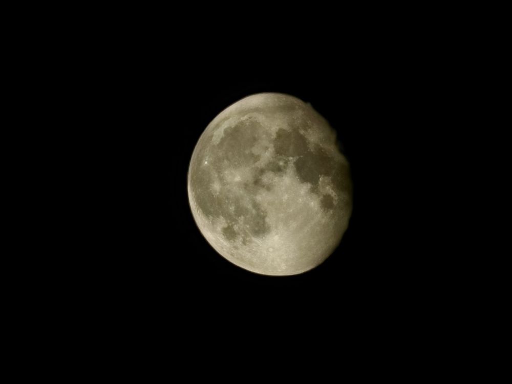 Photograph by Елена Касьянова