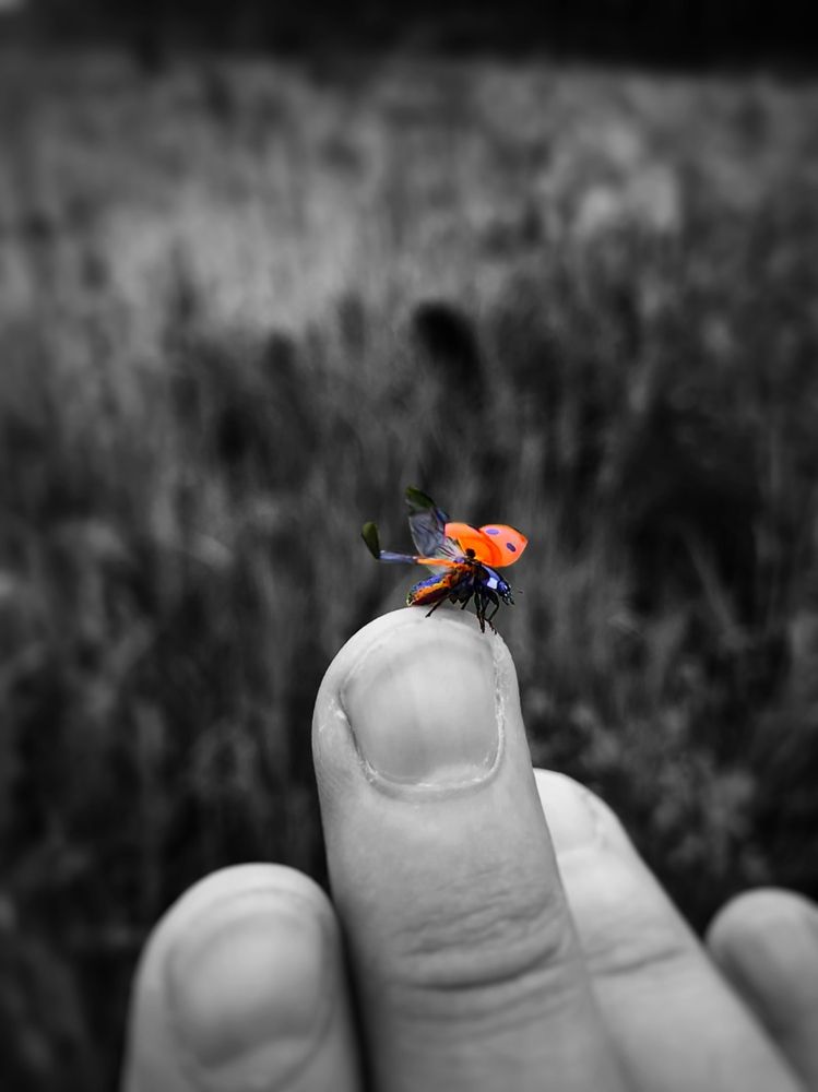 Photograph by Артур Григорян