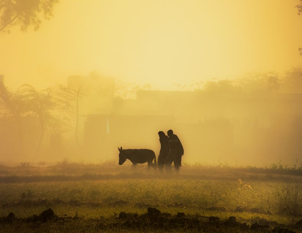 Photograph by Wasif Mujahid