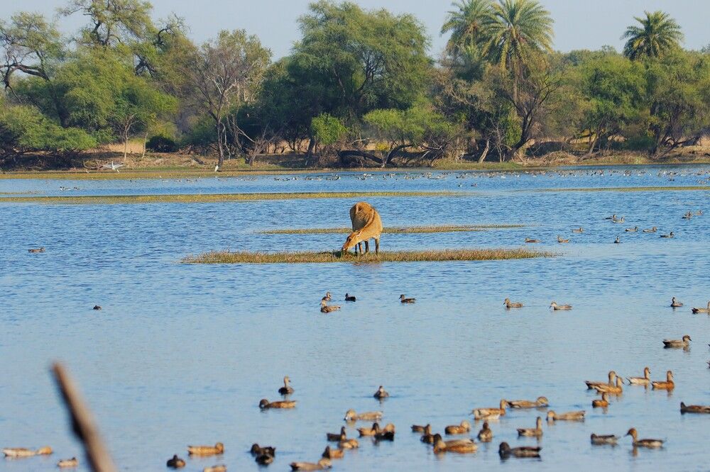 Photograph by pankaj kapoor