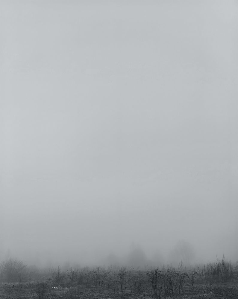 Photograph by Ева Мельникова