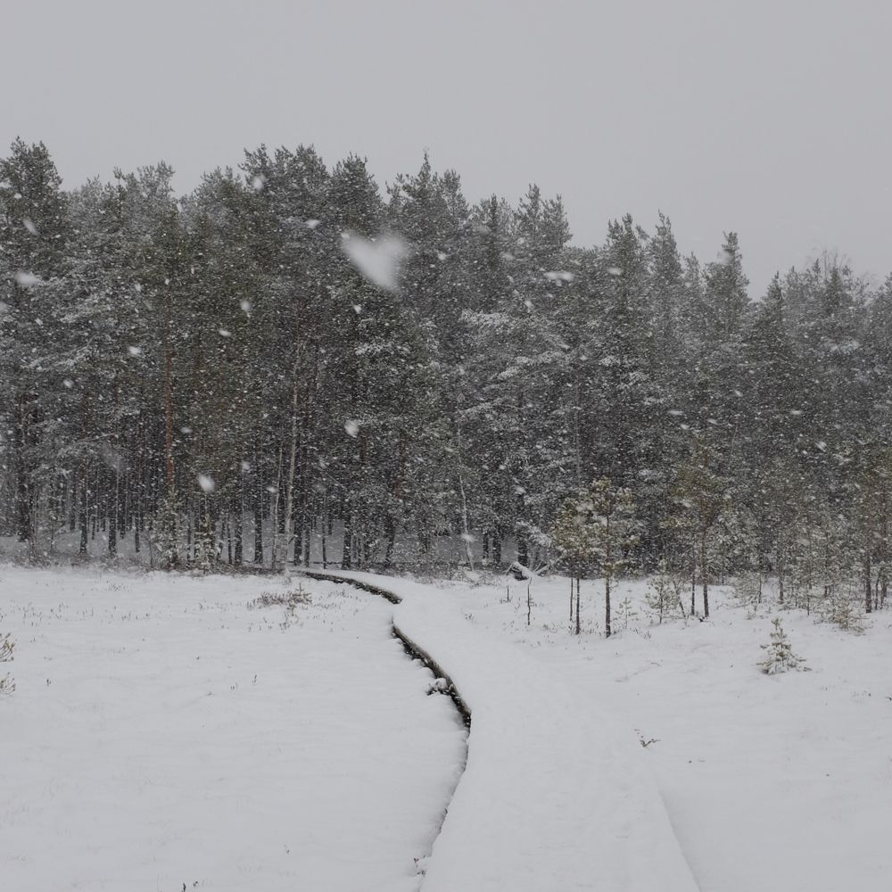 Фотография автора Ольга Шкотова
