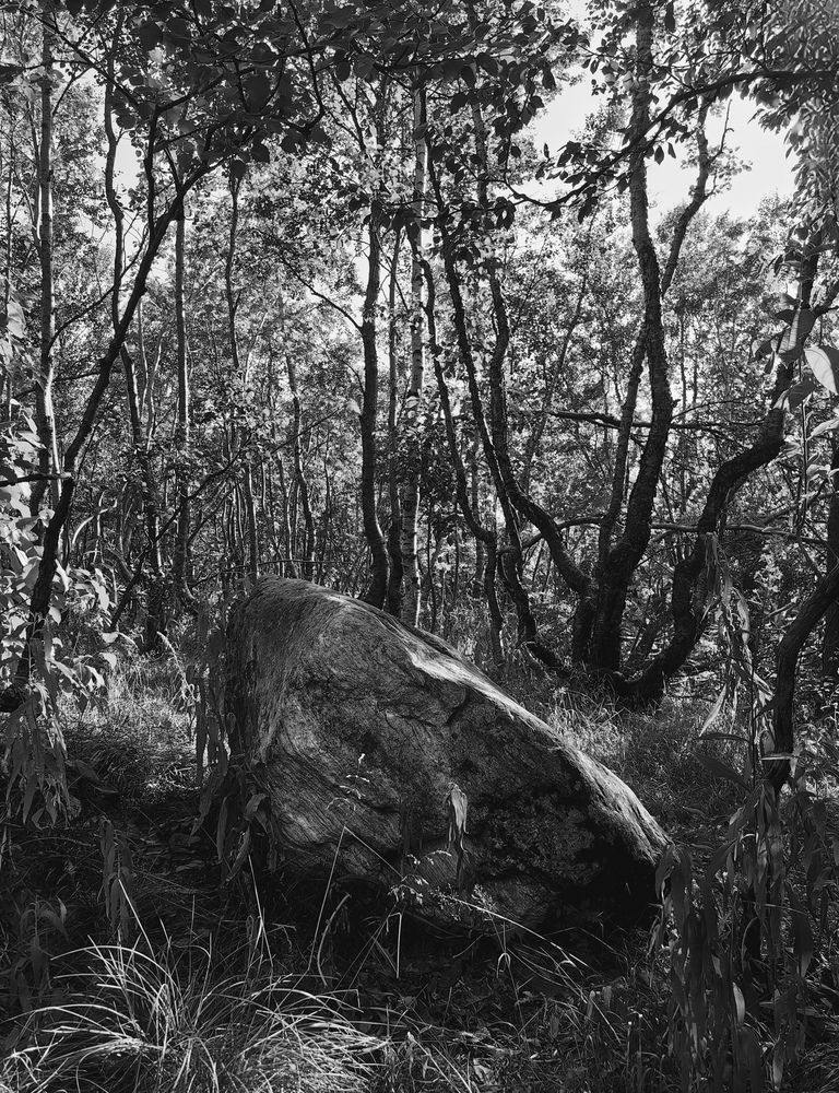 Photograph by Ева Мельникова