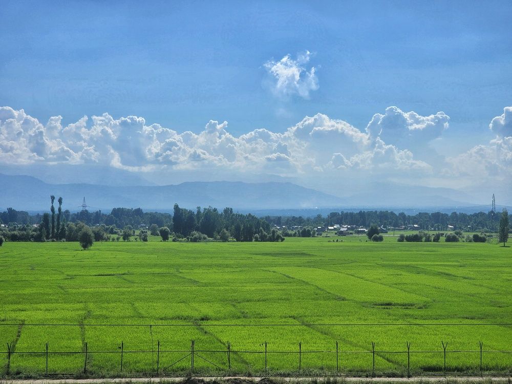Nature Landscape