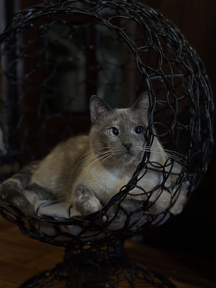 Photograph by Елена Войтова