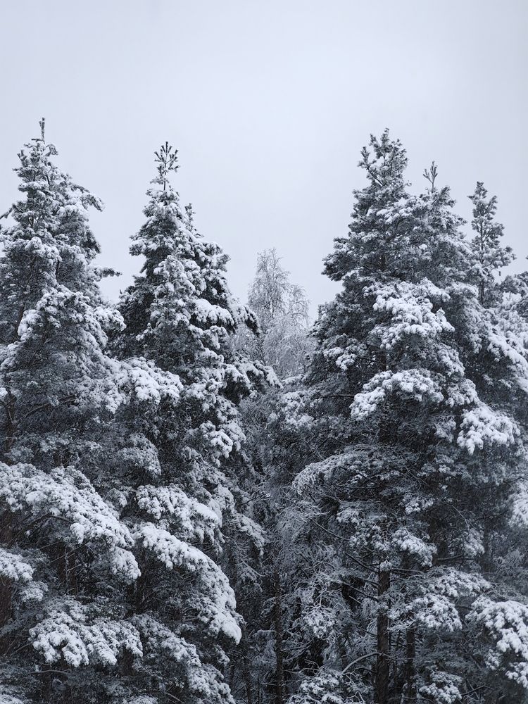 Photograph by Ева Мельникова