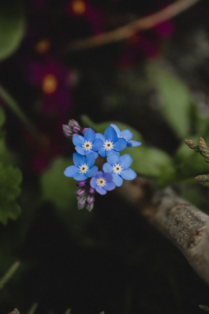 Photograph by Диана Козел