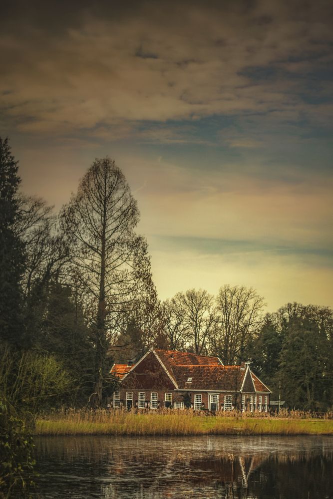 Фотография автора Leompescu Emanuel