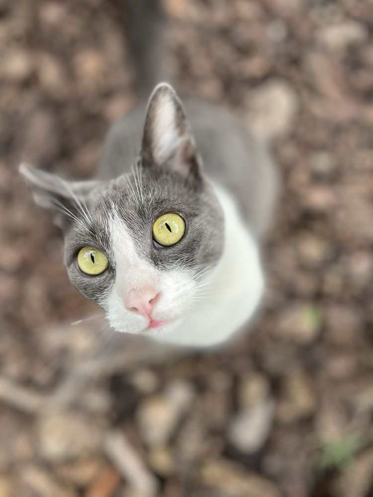 Photograph by Светлана Димитриенко