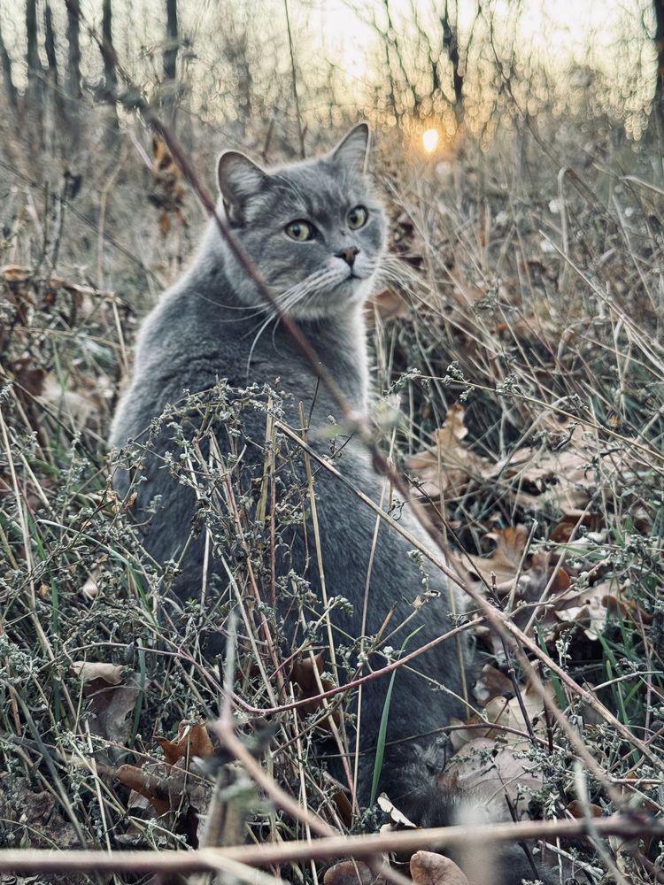 Photograph by Светлана Димитриенко