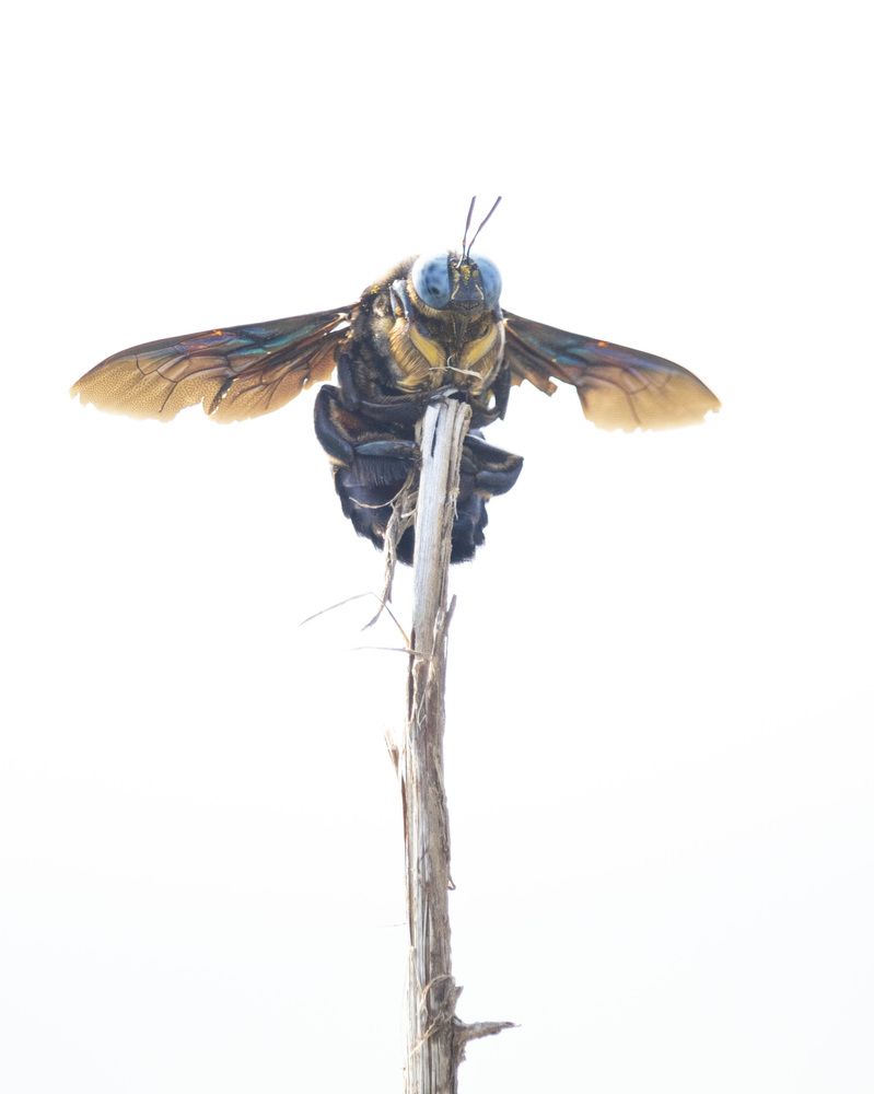 Photograph by Deepak KGK