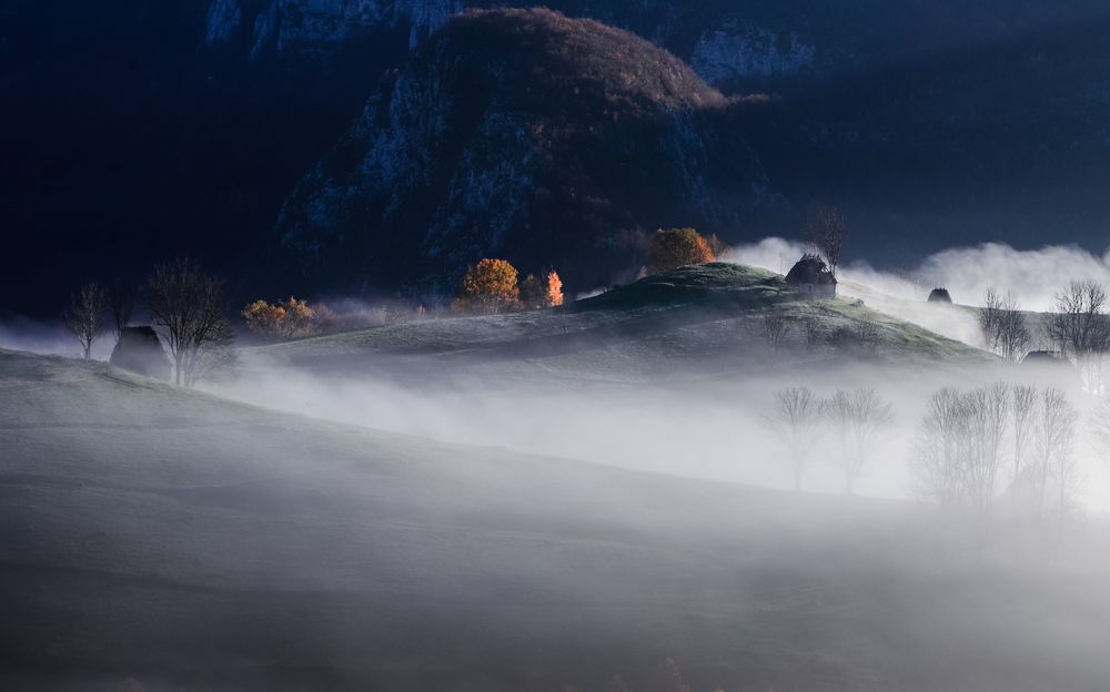 Фотография автора Flegner Calin