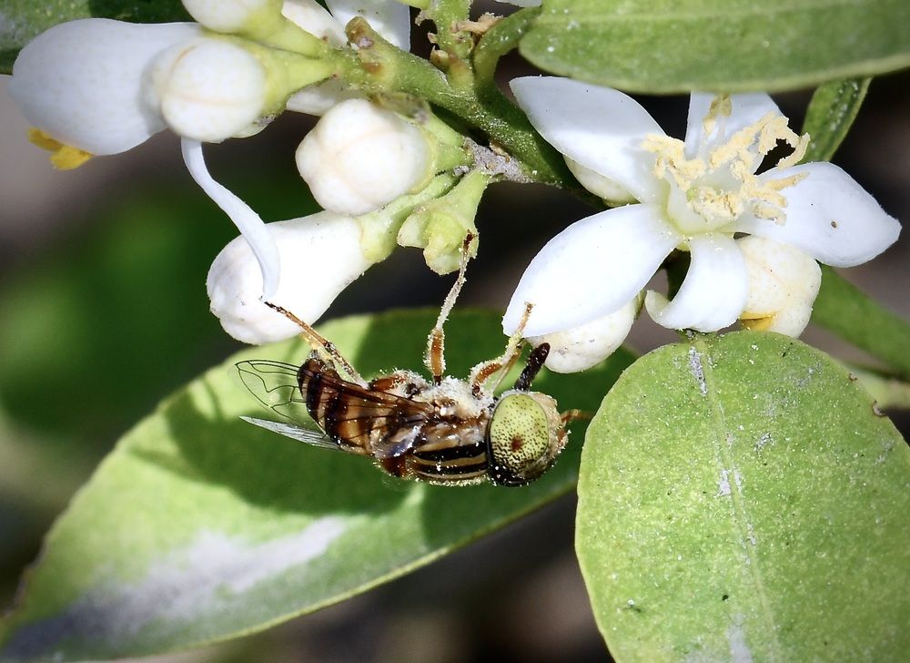 Фотография автора Gaurav Khosla