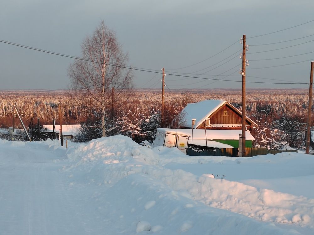 Photograph by Ирина Дружинина