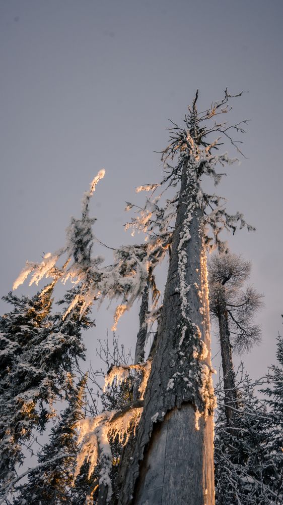 Photograph by Лобанов Денис